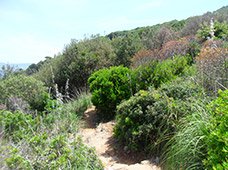 Caminatas in Porto Venere