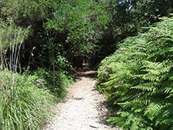 Palmaria Island Walk, Porto Venere